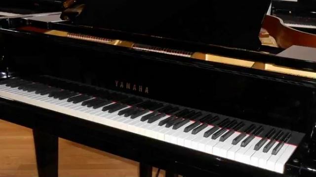 Pianista eventi Peschiera Borromeo смотреть онлайн
