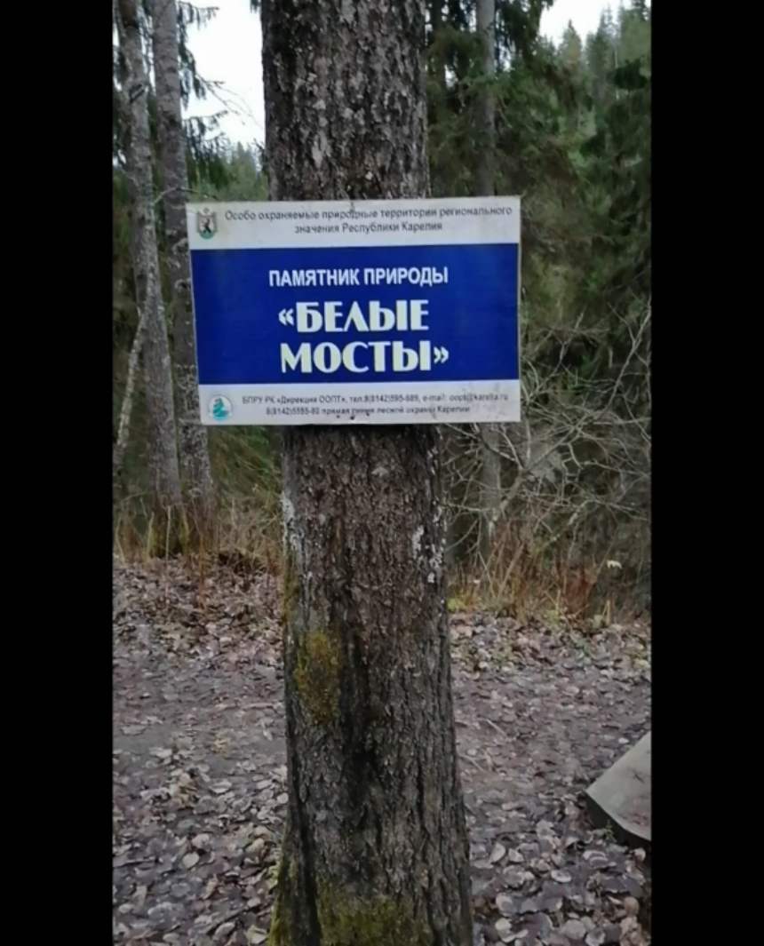 Чудо природы! Карельские водопады