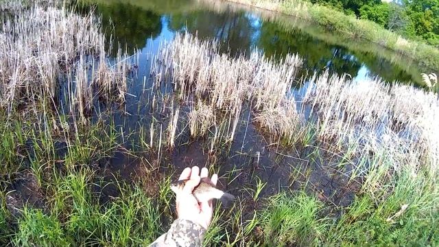 Первая весенняя рыбалка на заливных озерах. 8 мая 2023 года смотреть онлайн