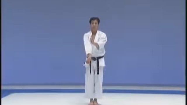 ВАДО - РЮ --- КАТА ...Niseshi kata with bunkai WORLD WADO смотреть онлайн