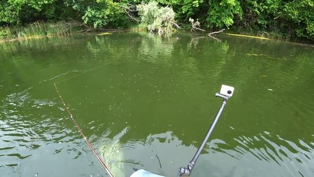 Как поймать руку! Крючек в руку - Боль и слезы на рыбалке! Ловля щуки летом смотреть онлайн