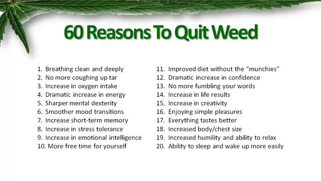 60 Reasons To Quit Weed смотреть онлайн