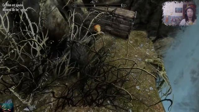 Skyrim épisode 4 :PUTAIN DE TROLL !!!