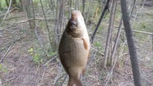 Рыбалка на Ононе