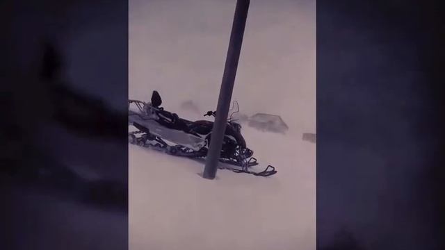 ВЕСНАЧО смотреть онлайн