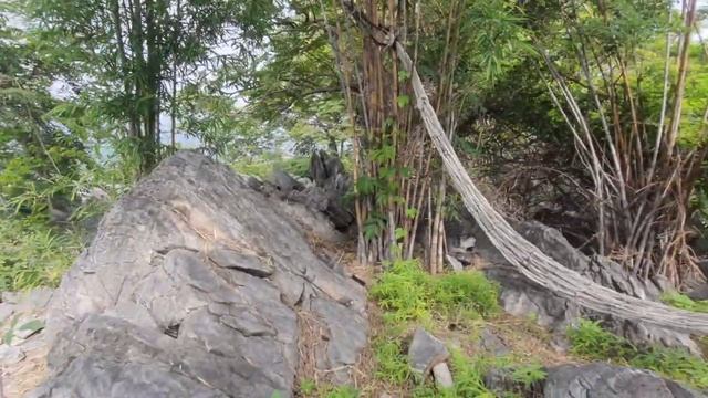 JAVA FURIA Downhill เขาใหญ่ กาญจนบุรี смотреть онлайн