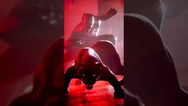 Black panther Attitude #short #blackpanther #blackpantherwakandaforever #besttube смотреть онлайн