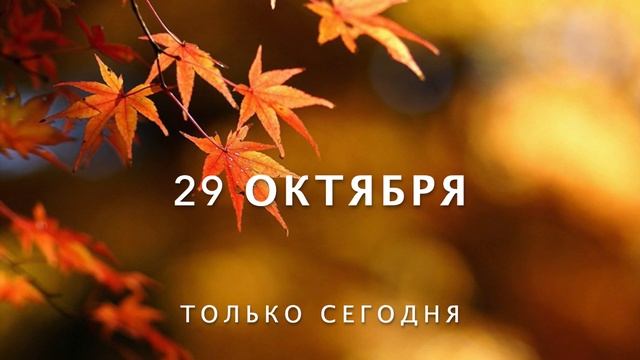 29 Октября - медитация на сегодня смотреть онлайн