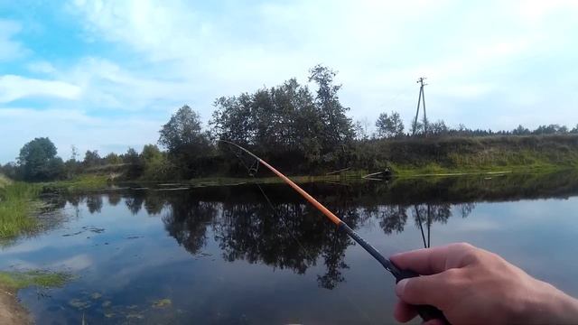 Lucky John J.I.B Tail в черте города р. Луга смотреть онлайн