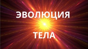 Эволюция тела