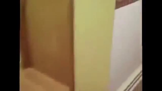 Как пес на дачу собирался смотреть онлайн