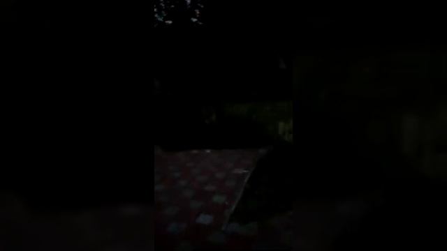 Ночная дача смотреть онлайн