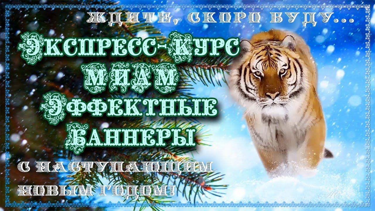 Фантазии на тему Эффектный Баннер Экспресс Курс МИАМ Aleo Flash смотреть онлайн
