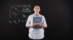 Химия 9 класс: Положение металлов в системе Менделеева и строение их атомов