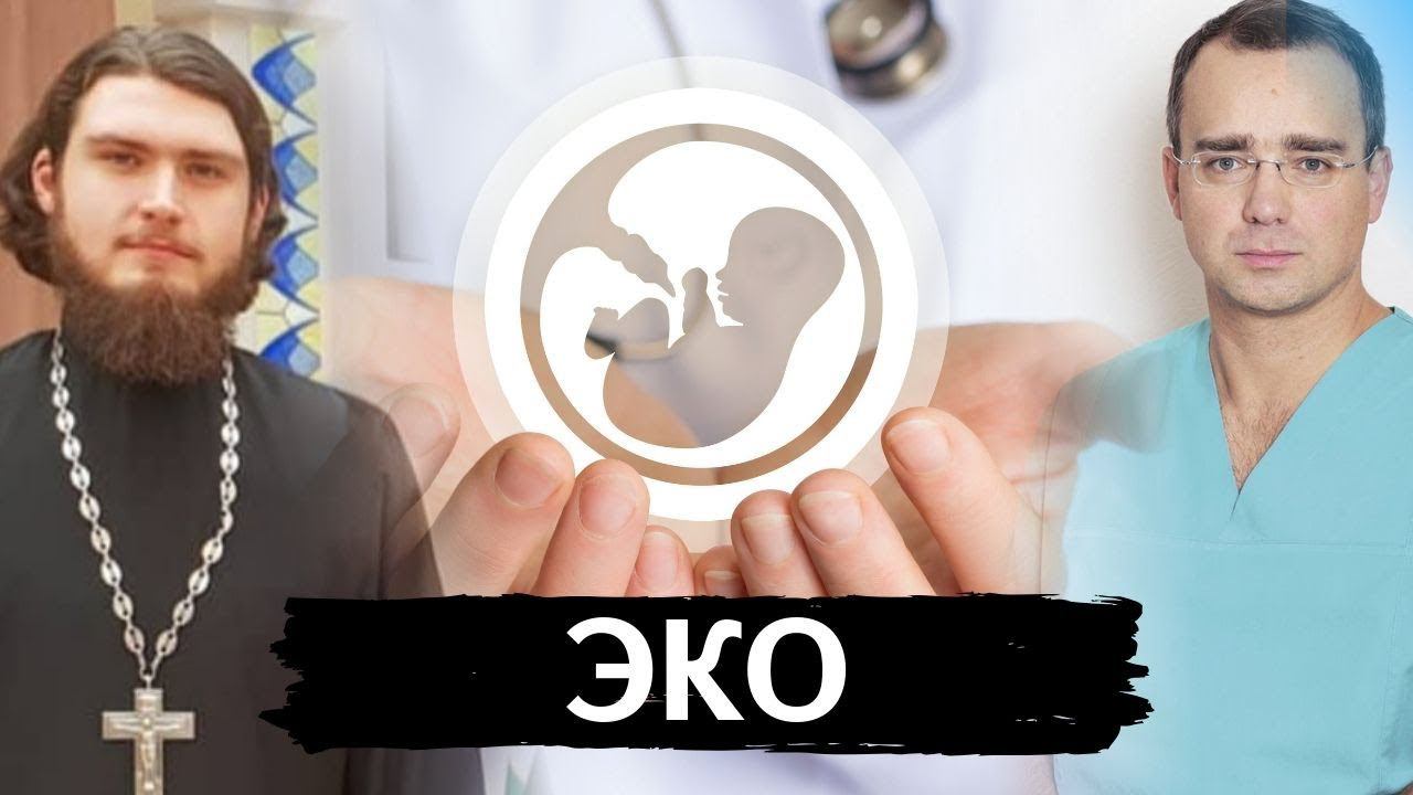 Эко - Искусственное оплодотворение. Религия и наука.