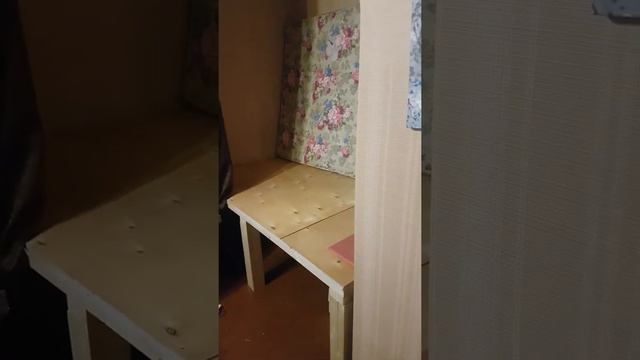 Сложная ситуация, как побороть клопов в Череповце смотреть онлайн