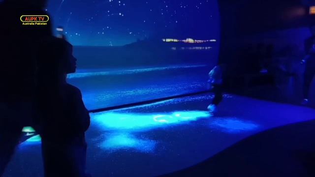 Sydney Sea life Aquarium 2021 | Sydney Aquarium Australia | Walking around Sydney Aquarium |Part 3 смотреть онлайн