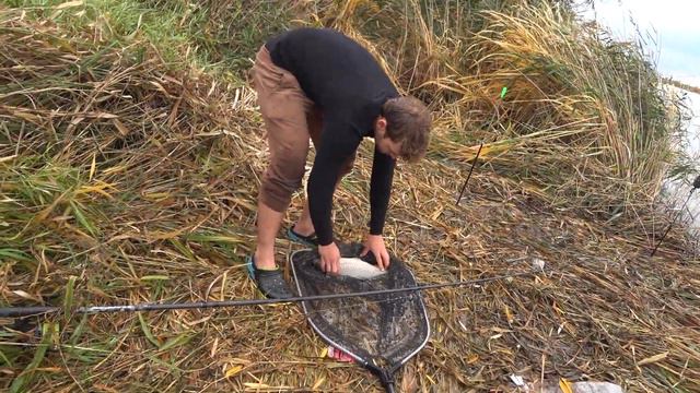 Рыбалка на глубокий турунчук Маяки Дом Рыбака 1 ноября 2023 смотреть онлайн