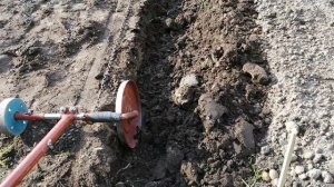 Сажаем картошку под электроплуг