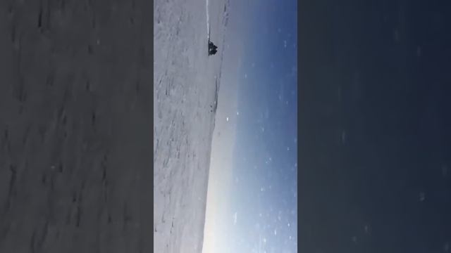 VID 20170202 WA0005 смотреть онлайн