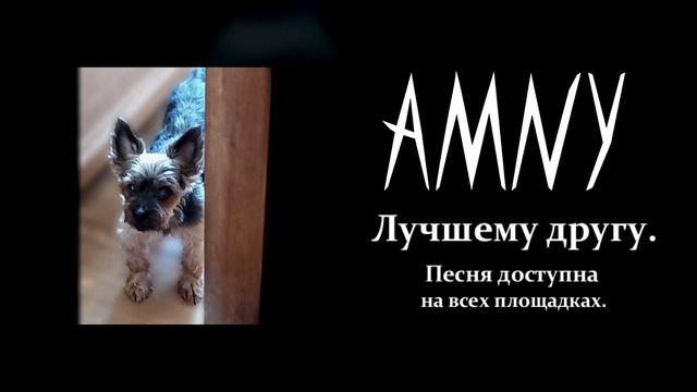 AMNY - Лучшему другу. (2023) смотреть онлайн
