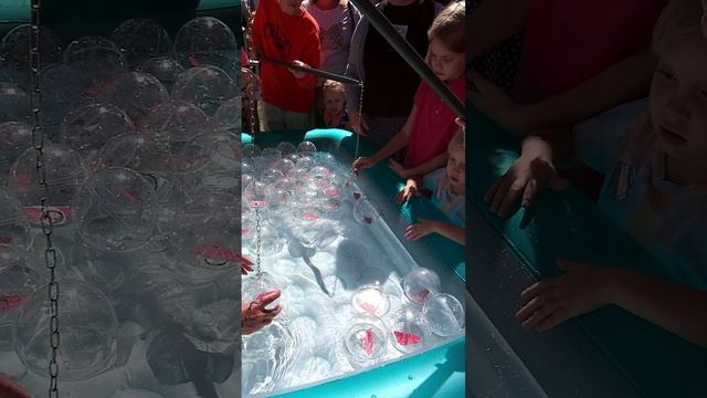 Аттракцион "Призовая рыбалка" смотреть онлайн