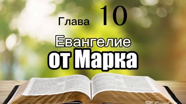 Библия, Евангелие от Марка, 10 глава смотреть онлайн