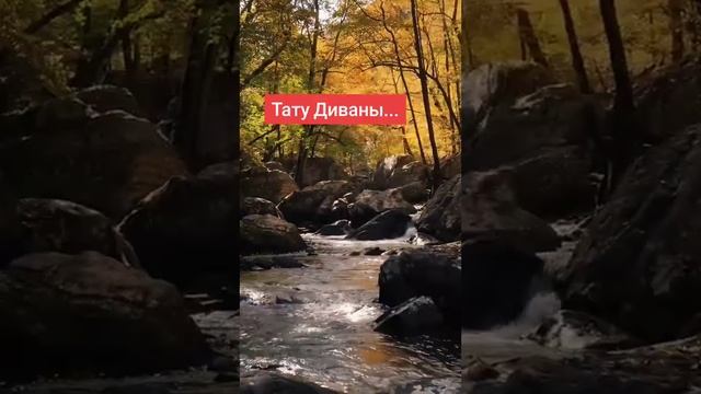 Татуировка племяницы Самвела Адамяна Дианы. На кости ?#saveliyad #самвел #адамян #missvong смотреть онлайн