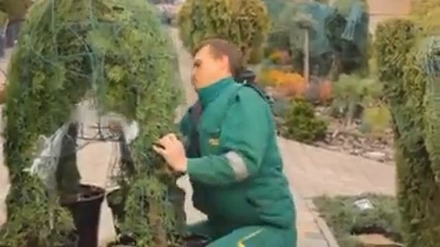 Топиар. Слон. смотреть онлайн