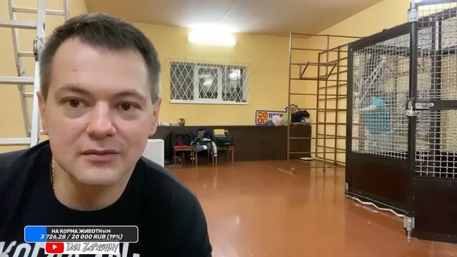 ?СТРИМ / Новости сегодня - Дан Запашный и Шимпанзе Боня отвечают на вопросы 22.12.2022 смотреть онлайн