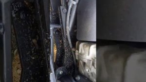 Устройство болотохода фантом