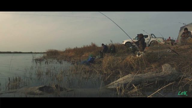 Осенняя рыбалка в дельте Или. Ловля воблы и карася. Рыболовный клуб "Балычок" смотреть онлайн