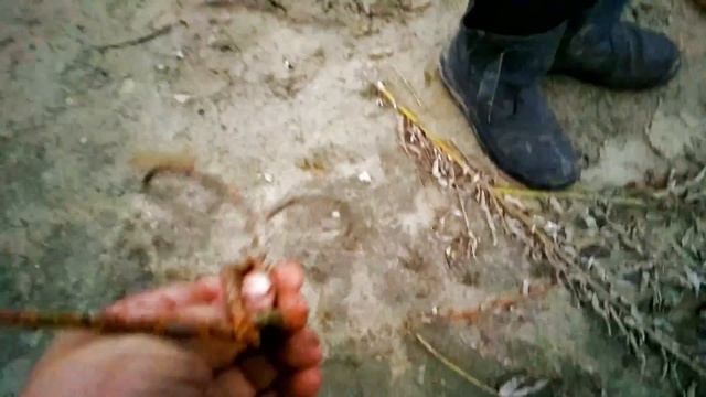Одна история Каргаска из прошлого с реки Панигадка пелинг смотреть онлайн