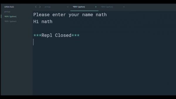 Python Programming-Input function