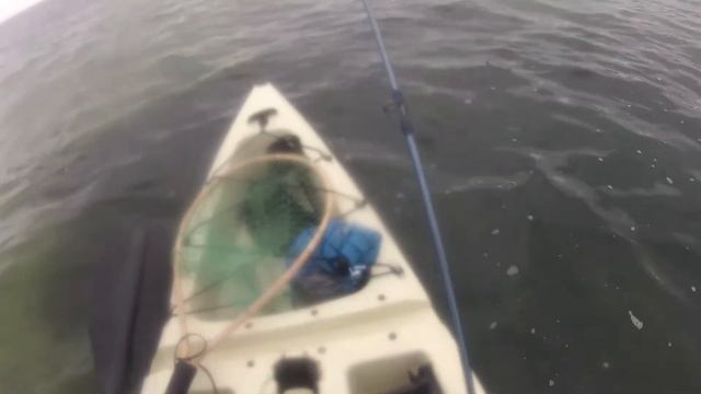 Rønnest Kajak - Mit første indtryk смотреть онлайн