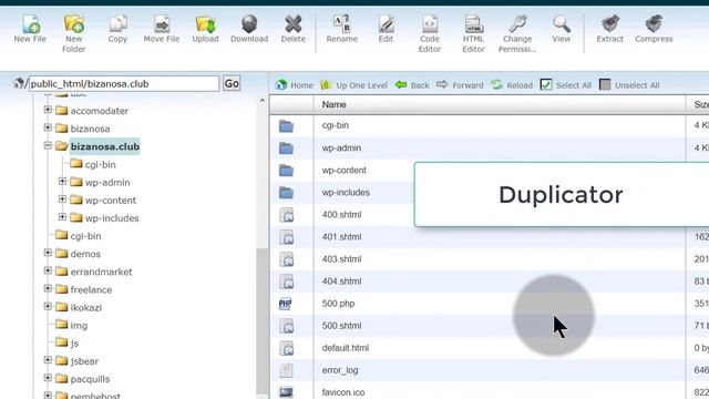 9 File Manager tutorial Cpanel Bluehost смотреть онлайн
