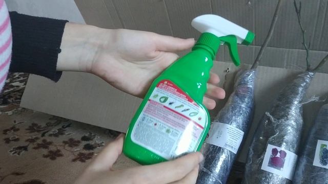 отзыв Агромаркет (відгук) гортензия, двухлетний инжир и другое смотреть онлайн
