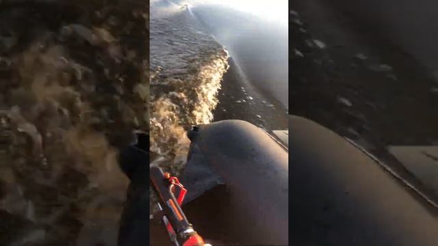 Ривьера 3200 НДНД компакт и HDX 5 смотреть онлайн