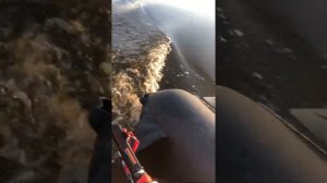 Ривьера 3200 НДНД компакт и HDX 5