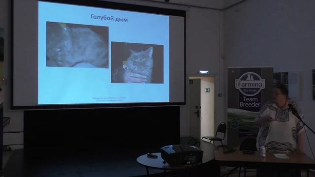 "Козни генетики" Автор семинара Елена Алексеевна Шевченко смотреть онлайн