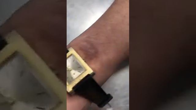 vintage samba a.k.a tank 17 jewels automatic swiss made (427) смотреть онлайн