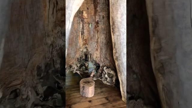 Затерянный рай. Таинственный остров. Шлыпра. Абхазия. Робинзон Крузо. смотреть онлайн