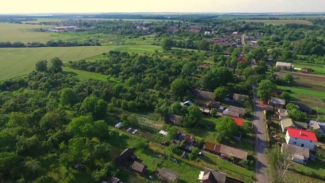 Ковердяки смотреть онлайн