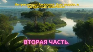 "Интригующая Амазонка: Дом редких и загадочных животных".
Вторая часть.