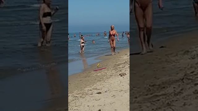Гордо несёт свой 5 номер бабушка-трансформер) смотреть онлайн