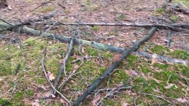 Грибы за два дня до зимы. Часть вторая. смотреть онлайн