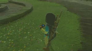 The Legend of Zelda - Где найти королевскую белую лошадь?