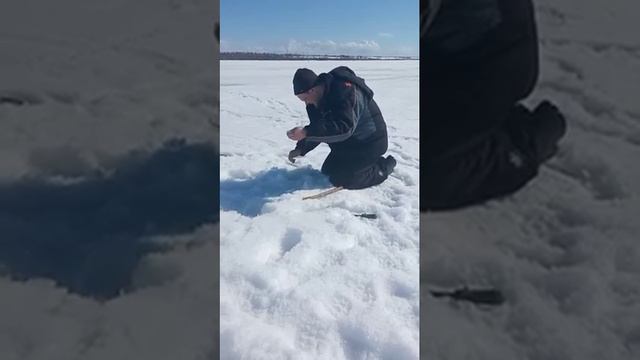 Налим на донку смотреть онлайн