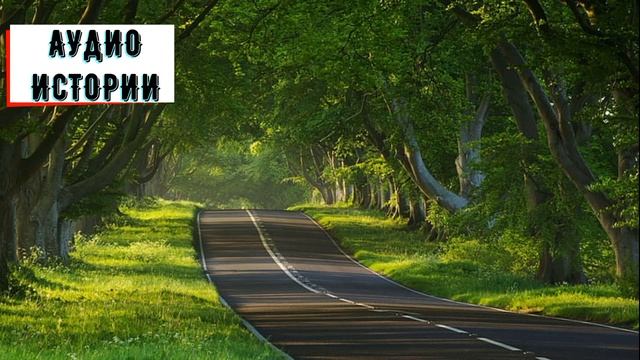 После смерти мужа, многодетная мать столкнулась с навязчивыми родственниками, которые выселили её.. смотреть онлайн