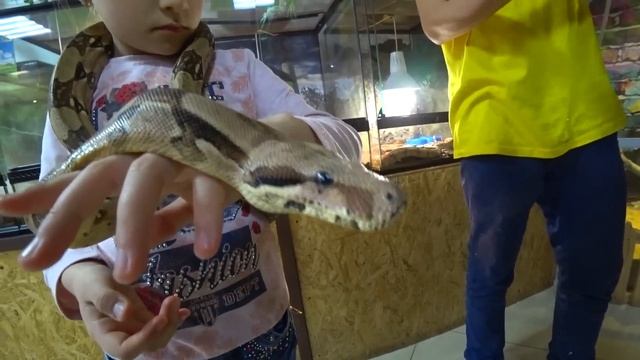 ВЛОГ Львенок Simba укусил Ярославу за ногу